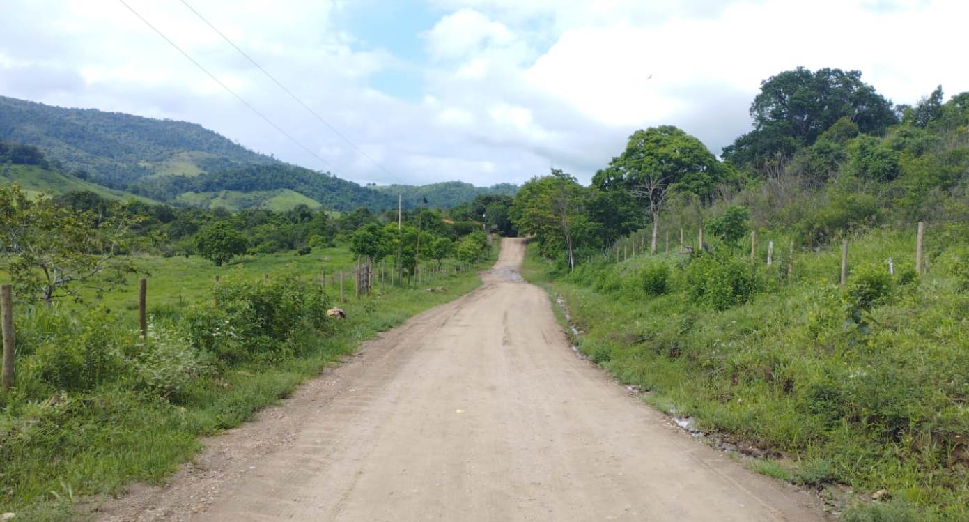 Governo da Bahia pavimentará mais de 125 km de rodovias estaduais Imagem de Governo da Bahia pavimentará mais de 125 km de rodovias estaduais